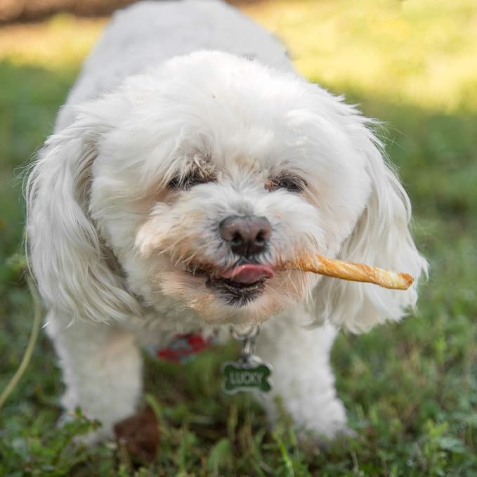 Lucky Premium Treats Peanut Butter Basted Rawhide – All-Natural Rawhide and Peanut Butter Dog Treats for Extra Small Dogs, Gluten Free Premium Toy Breed Dog Treats (200 Chews)
