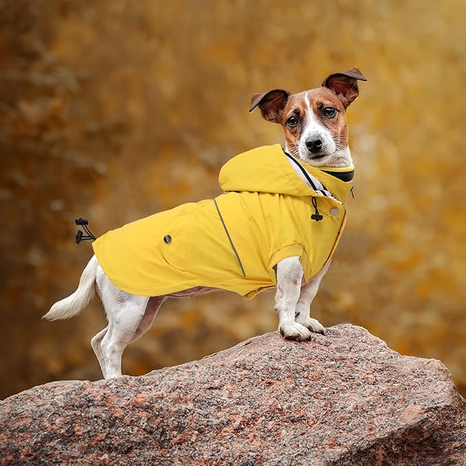 Dog Raincoat Waterproof Raincoats Dog rain Jacket Buttons Zipper Hood Drawstring Suitable for Small Medium Yorkie Terrier Schnauzer Poodle Border Collie Labrador 8lbs to 80lbs Yellow L
