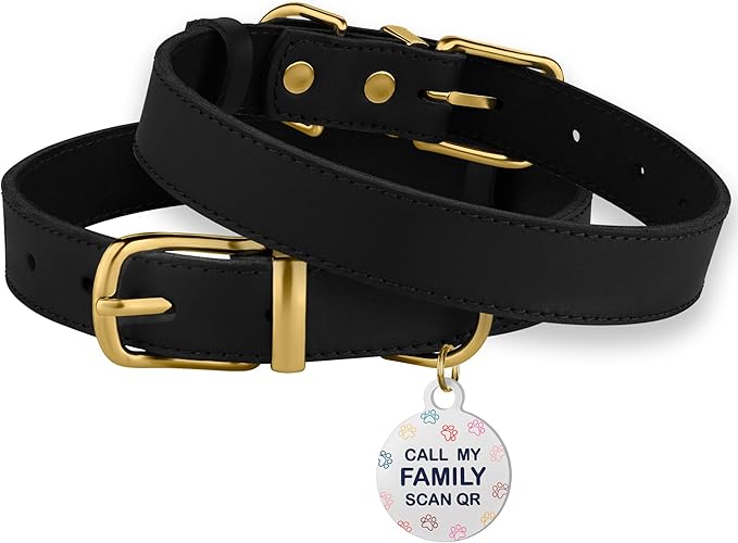 BRONZEDOG Leather Dog Collar with Metal Buckle Durable Basic Pet Collars for Small Medium Large Dogs (13-16 Inch (Pack of 1), Black & Gold Buckle)