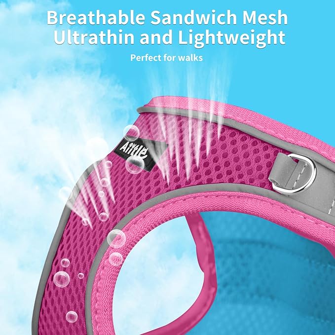 AIITLE Step in Dog Harness and Leash Set - Summer No Pull Escape Proof Vest Harnesses with Soft Mesh and Reflective Bands, Adjustable Pet Outdoor Harnesses for Small and Medium Dogs Hot Pink M