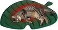 NWK Green Leaf Shaped Self Warming Cat Bed Mat, Thermal Dog Mat Cat Pad, Washable, Non-Slip Bottom for Sofa & Crate & Kennel & Car Seat (Green Leaf, Large (30'' X 19''))