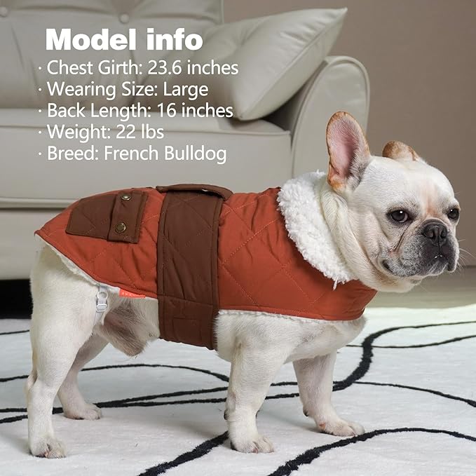 KYEESE Dog Coat Soft Pet Sweater for Cold Weather Warm Pet Winter Puffer Coat with Leash Hole Thick Cat Clothes with Pocket Waterproof Dogs Jacket with Fleece Lined Windproof Dog Coats for Small Dogs