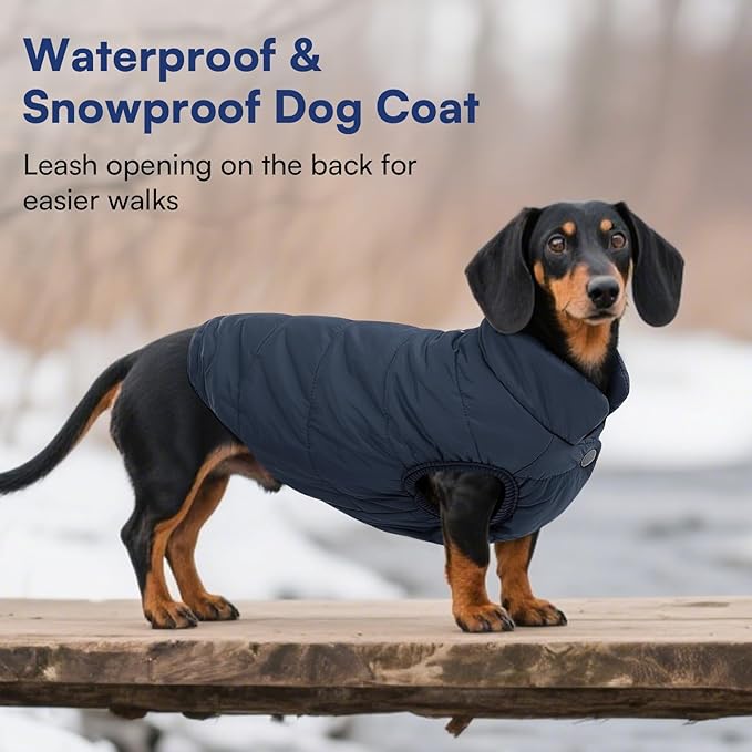 ASENKU Dog Winter Coat - Waterproof Windproof Dog Jacket, Warm Snowproof Doggie Puffer Vest for Cold Weather, Lightweight Snow Coats for Small Medium Large Dogs(M, Blue)