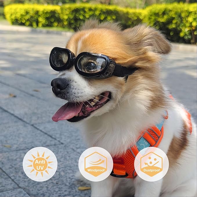 Namsan Clear Dog Goggles Small Breed, Anti-UV Sunglasses for Dogs Small Breeds, Windproof Riding Dog Eye Protection, Doggie Glasses with Elastic Straps, Easy Put-on/Adjustable, Transparent