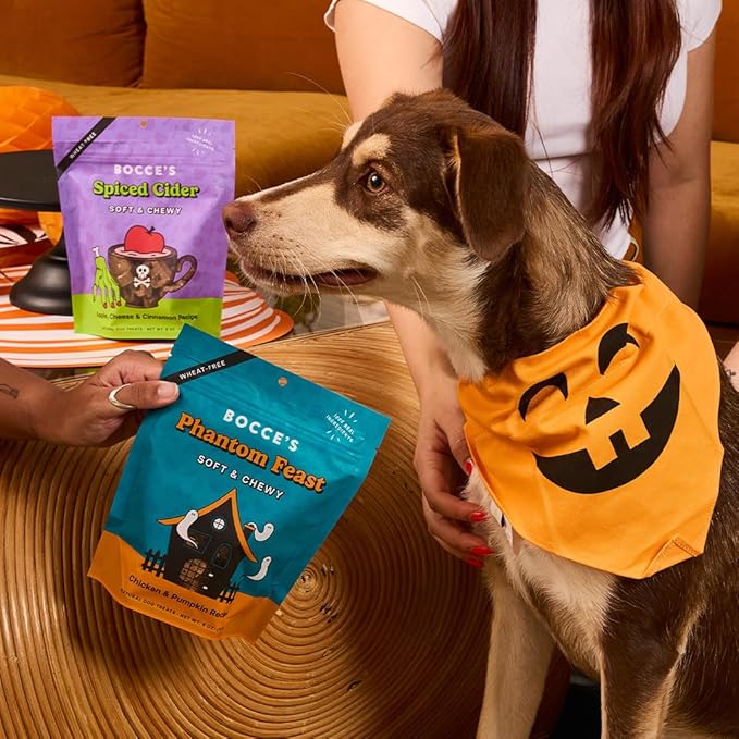 Bocce's Bakery Spiced Cider All-Natural Soft & Chewy Halloween Dog Treats - Wheat-Free Everyday Cookies for Dogs, Made with Real Ingredients & Baked in The USA – Apple & Cinnamon Flavored (6 oz Bag)