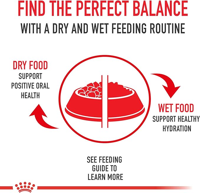 Royal Canin Size Health Nutrition Medium Puppy Thin Slices in Gravy Dog Food, 13 oz (Pack of 12)