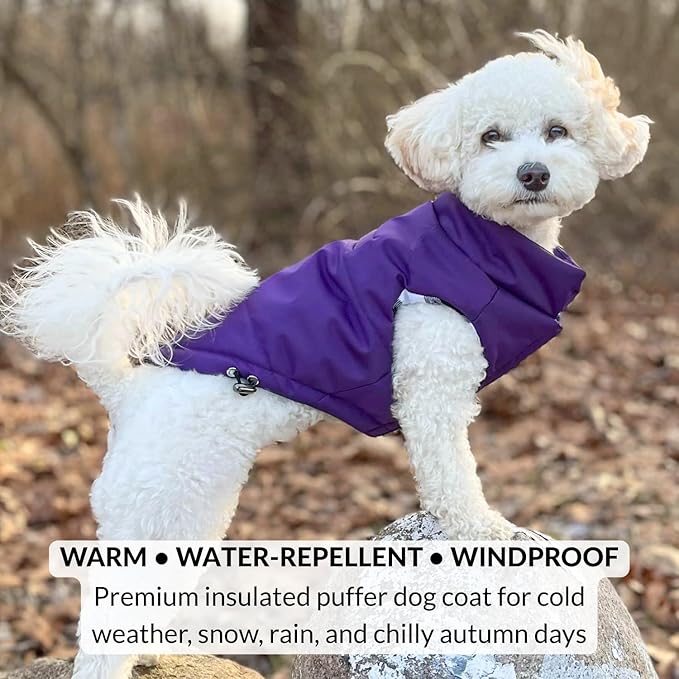 DJANGO Reversible Puffer Dog Coat – Warm Winter Dog Jacket & Water-Repellent Insulated Dog Coat w/Harness Hole, Windproof, Adjustable Fit for Small & Medium Dogs, Dachshunds – Violet Purple, Small