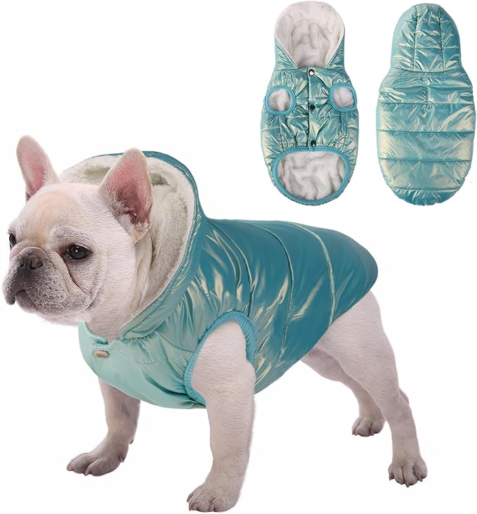 Windproof Waterproof Dog Coat Fleece & Cotton Lined Warm Jacket, Cold Weather Pet Apparel Clothes Vest for Small Medium Large Dog (XS, Mintgreen)