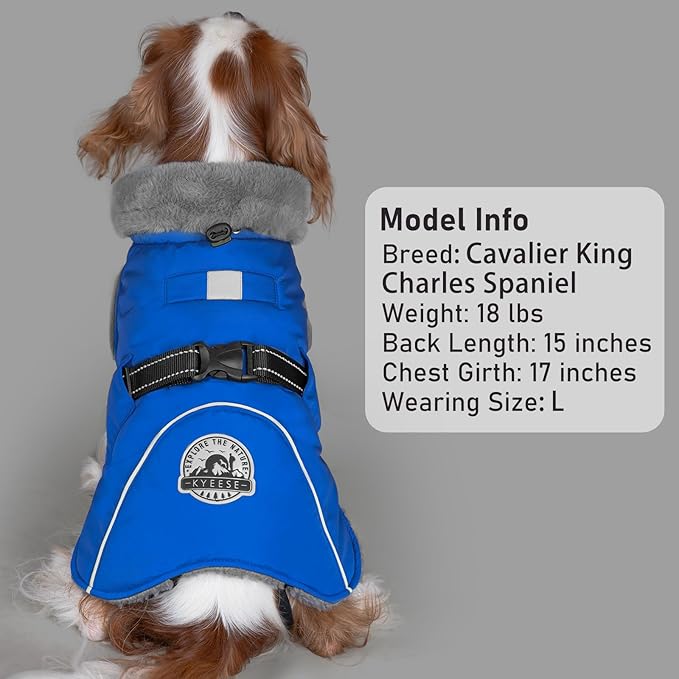 KYEESE Waterproof Dog Coat, Windproof Warm Winter Jacket with Leash Hole, Reflective Cold Weather Dog Coats for Small Dogs, Outdoor Pet Coat Cozy Puppy Jacket Thick Fleece Lined, Blue, Small