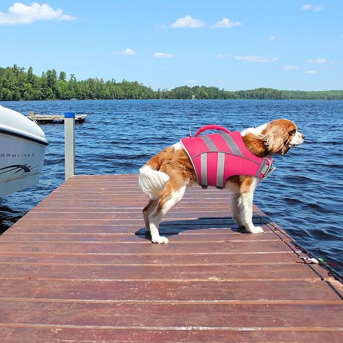 Kuoser Dog Life Jacket for Medium Dogs, Reflective Swimming Vest with High Flotation for Beach Boating, Pink L