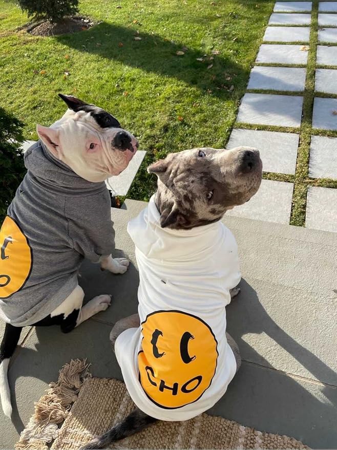 ChoChoCho Smiley Dog Hoodie Stylish Dog Clothes Smiley Face Sweater Cotton Sweatshirt Fashion Outfit for Dogs Cats Puppy Small Medium Large (XX-Large, Grey)