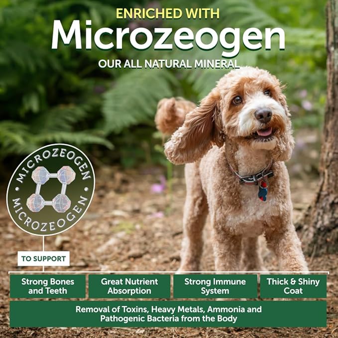 Nature's Protection Dry Dog Food for Small, Medium & Large Breed - High Protein, Grain Free Tear Stain Diet - Dog Kibble for Puppy & Adult Dogs with Red Fur (Superior Care - Lamb, 22 lb)