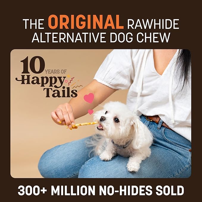 Earth Animal No Hide Stix - Long Lasting Rawhide Free Small Dog Chews Sticks, Pumpkin Spice - 20 Count Value Pack