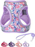 Step in Dog Harness and Leash Set, Flower Adjustable Easy Walk Puppy Harnesses, Soft Mesh Pet Vest Harness Small Size Dog Adjustable No Pull Dog Harness for Small Dogs and Cats(Light Purple, XS)