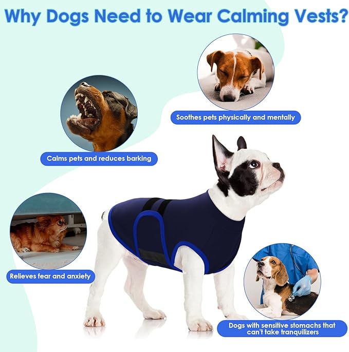 MIGOHI Dog Anxiety Relief Coat,Comfort Anxiety Vest for Dogs,Adjustable Anxiety Calming Wrap for Fireworks,Thunderstorms,Travel, Separation, Dog Anxiety Jacket for Small Dogs,L,NavyBlue