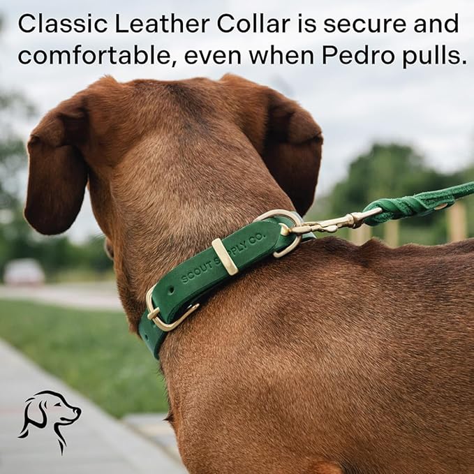 Classic Genuine Leather Dog Collar | Dog Collars for Medium Dogs, Small Dogs, Large Dogs & Extra Large Dog | Wide Dog Collar | Heavy Duty Collar (Green, Large)