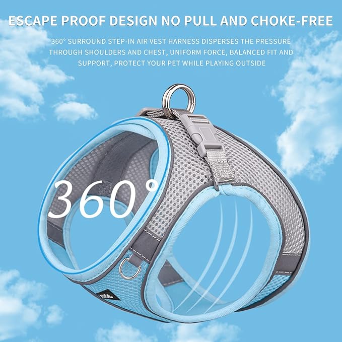 AIITLE Step in Dog Harness and Leash Set - Summer No Pull Escape Proof Vest Harnesses with Soft Mesh and Reflective Bands, Adjustable Pet Outdoor Harnesses for Small and Medium Dogs Blue M