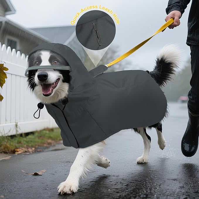 DENTRUN Dog Raincoat with Hood for Border Collie, Shiba Inu – Windproof & Reflective for Night Walks, Jogging, Backpacking – Adjustable Fit, XL