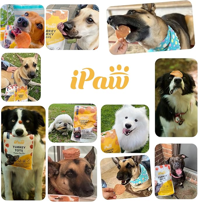 iPaw Chicken Tots Dog Treats for Puppy Training, All Natural Human Grade Dog Treat, Hypoallergenic, Easy to Digest (Chicken Tots), 2 Packs