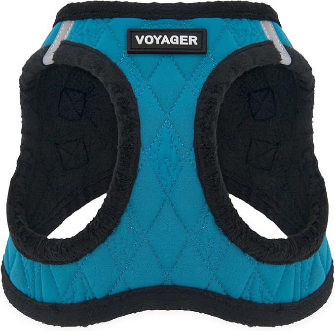 Best Pet Supplies - All Weather Mesh / Plush, Reflective, No Pull Harness for Small, Medium Dogs, Cats - Secure with Hook & Loop Fastener, Buckle, Double D-Rings - Turquoise Plush, XL