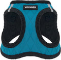 Best Pet Supplies - All Weather Mesh / Plush, Reflective, No Pull Harness for Small, Medium Dogs, Cats - Secure with Hook & Loop Fastener, Buckle, Double D-Rings - Turquoise Plush, XS