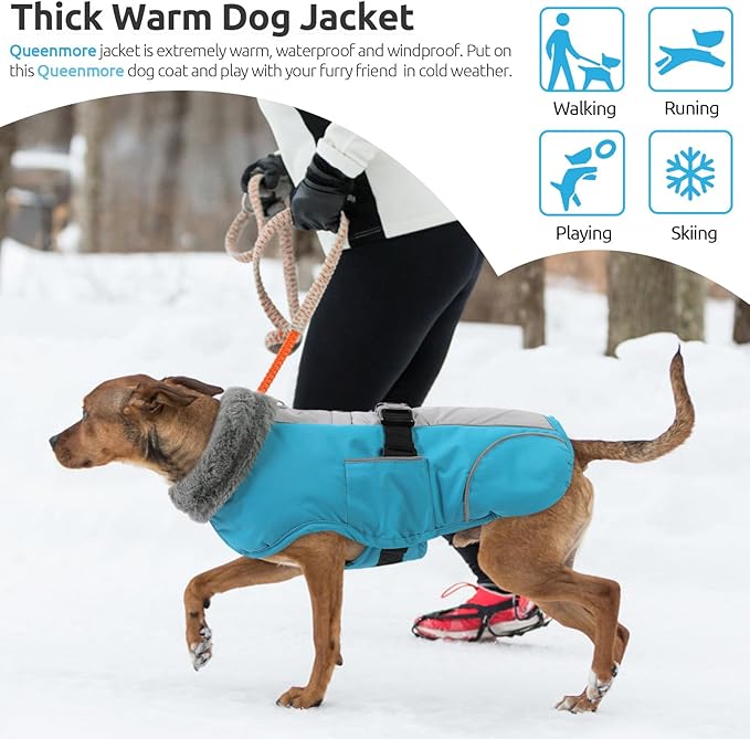 Queenmore Dog Winter Jacket, Fleece Lining Pet Vests for Winter, Dog Cold Weather Coats, Dogs Coat for Medium Puppy Waterproof, Pet Snowsuit with Leash Hole, Blue, M