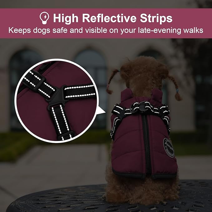 Warm Winter Coat, Fashion Sports Jacket with Built-in Harness, Reflective & Adjustable Comfortable Pet Vest, Waterproof Windproof Dog Apparel for Small Dogs (Purple)