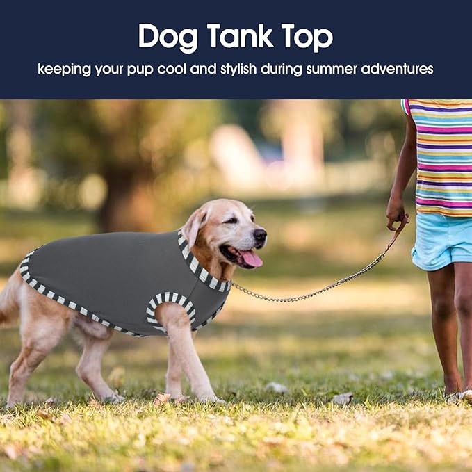 IECOii 2 Pack Large Dog T-Shirt | Non-Restrictive Fit for Running, Breathable Summer Wear - Non-stuffy Design - Keeps Pups Comfortable in Hot Weather, Grey+Blue, 2XL