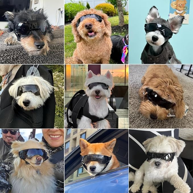Dog Goggles Sunglasses Small to Medium Breed, Anti-Fog UV400 Lens Puppy Sunglasses, Adjustable Lightweight Doggie Goggles for UV, Wind, Snow, Dust Protection, Black