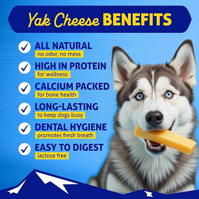 Himalayan Dog Chew Cheese Chews, Long Lasting, Stain Free, Protein Rich, Low Odor, 100% Natural, Healthy & Safe, No Lactose, Gluten Or Grains, 2.5 lbs BULK TUB, MEDIUM, for 35 Lbs & Smaller