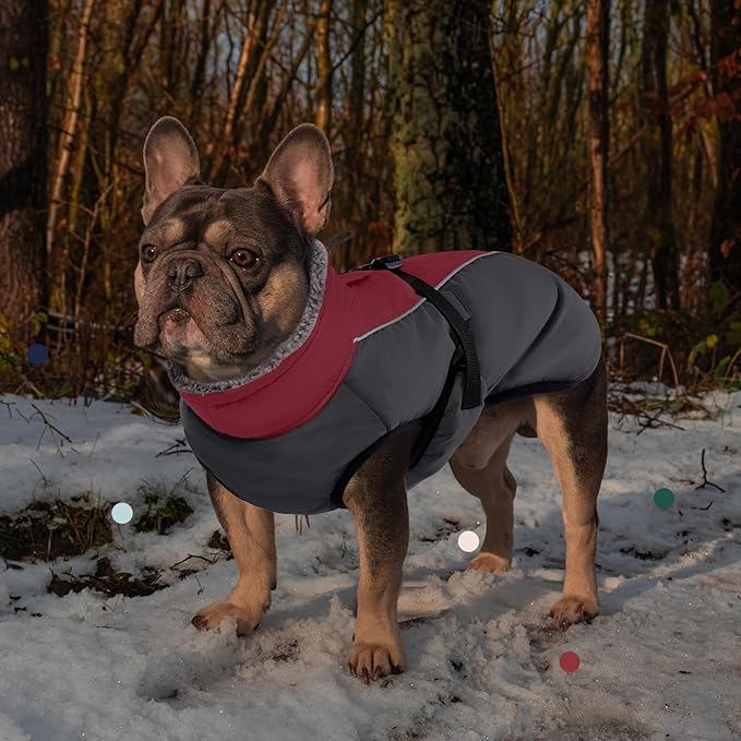IECOii Extra Warm Dog Jackets for Large Dogs, Insulated Thermal Fleece Vest for Winter, Waterproof Reflective XL Dog Coat with Fur Collar, Windproof Cold Weater Clothes with Leash Hole, Burgundy, XL
