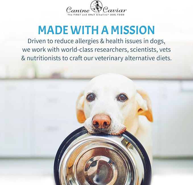 Canine Caviar - Special Needs: Chicken & Brown Rice Alkaline Dry Dog Food, Limited Ingredients, Gluten-Free, Based on Science & Research, Veterinary Alternative Diet (4.4 Pound Bag)