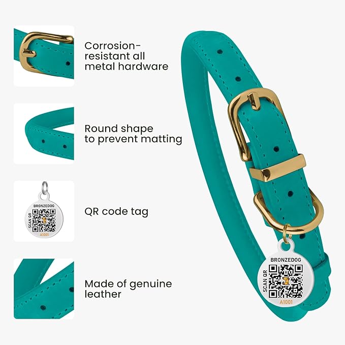 BronzeDog Rolled Leather Dog Collar with QR ID Tag, Adjustable Soft Round Collars for Small Medium Large Dogs Puppy (11" - 14 1/2" Neck Size, Turquoise)