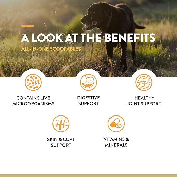 NaturVet Scoopables All-in-One Multivitamin for Dogs - Dog Vitamins and Supplements for Joint Support, Digestion, Skin & Coat Care & Immune - Hickory Smoked Bacon Flavor Vitamin Supplement | 11oz Bag