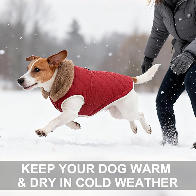 BEAUTYZOO Winter Dog Vest Coat with Harness Built in, Warm Puppy Jacket for Small Medium Dogs, Lightweight Cold Weather Small Dog Coat, Fleece Puffer Vest Windproof Snowproof Pet Clothes, Rose Pink L