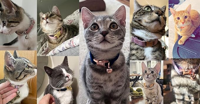 Personalized Cat Collar with Bells,Velvet Customized Small Cat Collar with Name Tag,Pet Collar with Name Phone Number Engraved ID Tags for Boy and Girl Kitten Cats (Black)