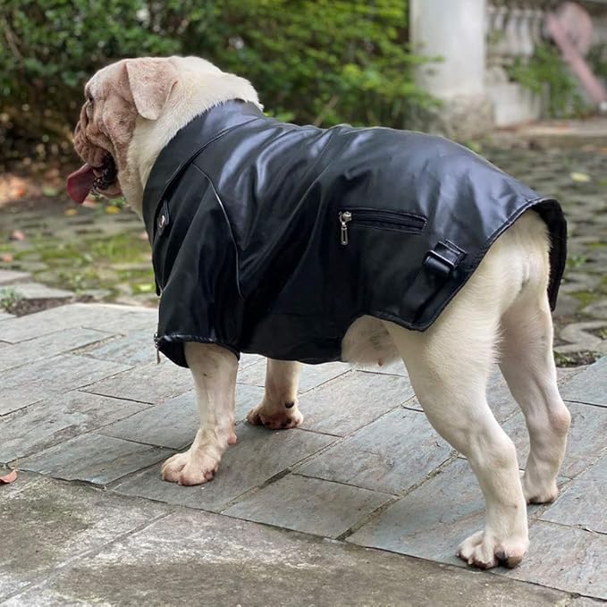 Lovelonglong Cool Dog Leather Jacket, Warm Coats Dogs Windproof Cold Weather Coats for Pugs Bulldog Pitbull Black B-M