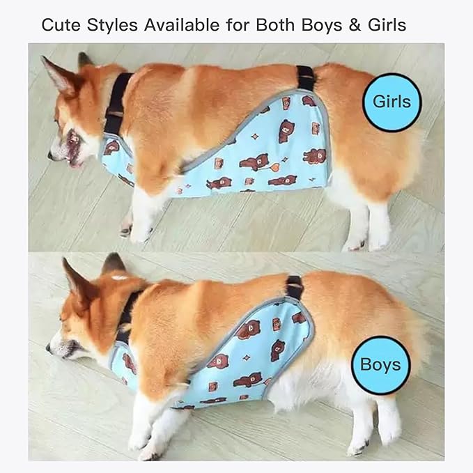 Waterproof Belly Shield for Corgis & Dachshunds – Adjustable underbelly Protector. Male/Female Designs. Stays Dry in rain, mud & Grass. Ideal for Sensitive Skin (Blue - Male, L)