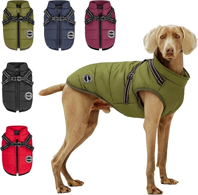 Warm Winter Coat, Fashion Sports Dog Cold Weather Jacket with Built-in Harness, Reflective, Waterproof Windproof Dog Apparel for Small Dogs (Green)