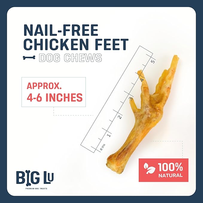 Big Lu – Nail-Free Chicken Feet Dog Chews, 100% Natural Single-Ingredient Treats, Rawhide-Free, Long-Lasting, Rich in Glucosamine and Chondroitin for Joint Health (60 Count)