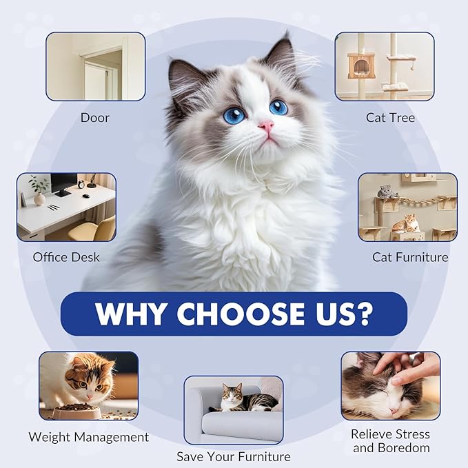 Interactive Cat Toys for Indoor Cats, Automatic Electric Flying Bird Feather Wand Toy, Best Kitten & Adult Cat Enrichment Toy Hanging Electric Kitty Toys for Bored Cats, Light Blue