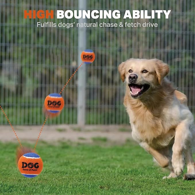AMA SPORT Squeaky Tennis Balls for Dogs 2.5" Small Medium Dog Tennis Balls for Throwing and Fetching Dog Toys for Training, Exercise, High Bouncing 12 Pack (Multicolor A)