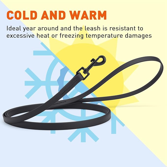 Dogline Biothane Waterproof Dog Leash Strong Coated Nylon Webbing with Black Hardware Odor-Proof Easy to Clean High Performance for Small or Large Dogs Made in USA 4 or 6 ft Lead, Black