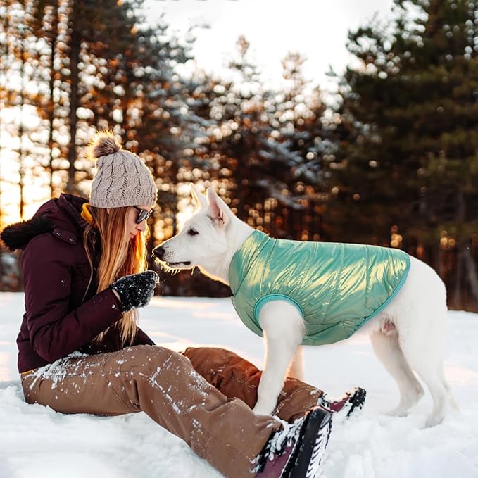 ASENKU Dog Winter Coat - Waterproof Windproof Dog Jacket, Warm Snowproof Doggie Puffer Vest for Cold Weather, Lightweight Snow Coats for Small Medium Large Dogs (Mint Green, S)