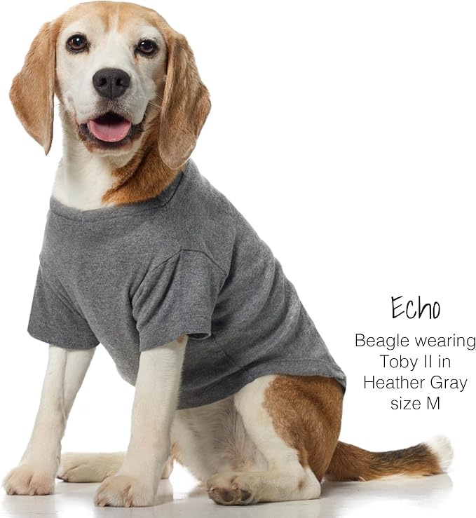 Toby II - The Perfect Tee, 3 Pack Short Sleeve Pet T-Shirt 100% Organic Cotton Tees Clothes for Small, Medium, Large Dogs, Gray Ombre, XX-Large