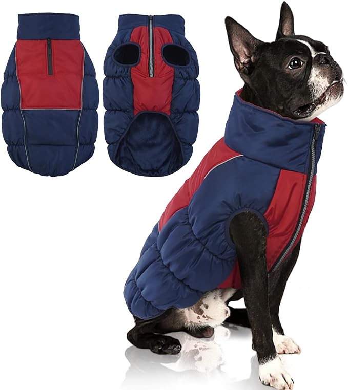 IECOii Medium Dog Coat - Waterproof, Fleece Lined, Reflective, Warm Winter Jacket