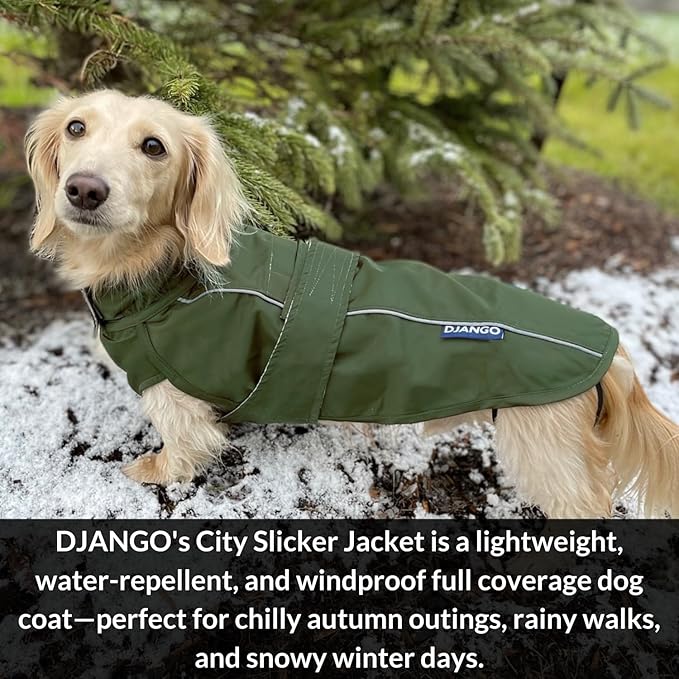 DJANGO Dog Jacket & Raincoat – Lightweight Water-Resistant Coat for Small, Medium & Long Dogs Like Dachshunds – Reflective, Adjustable Fit, Harness-Compatible & Easy-Access Harness Hole - Green Medium
