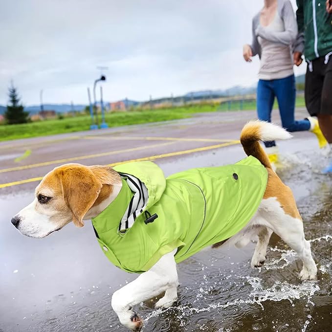 Dog Raincoat Waterproof Raincoats Dog rain Jacket Buttons Zipper Hood Drawstring Suitable for Small Medium Yorkie Terrier Schnauzer Poodle Border Collie Labrador 8lbs to 80lbs Green XS