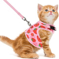PUPTECK Soft Mesh Cat Vest Harness and Leash Set Puppy Padded Pet Harnesses Escape Proof for Cats Small Dogs Rabbits Bunny