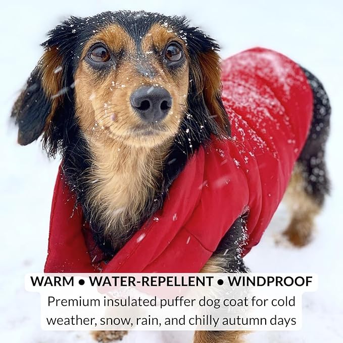 DJANGO Reversible Puffer Dog Coat – Warm Winter Dog Jacket & Water-Repellent Insulated Dog Coat with Harness Hole, Windproof, Adjustable Fit for Small & Medium Dogs, Dachshunds – Lava Red, X-Small